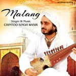 Malang - Chintoo Singh Song Download